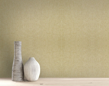 Paperbraid Texture Grasscloth & Naturals