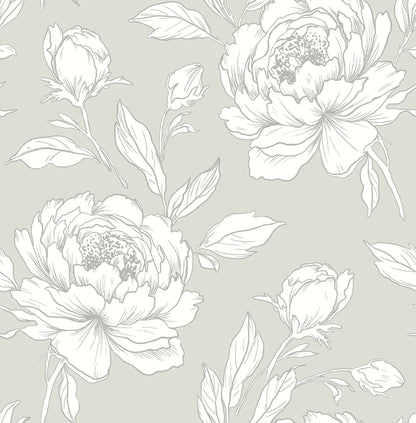 Peony Flower Wallpaper