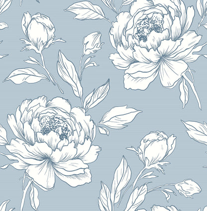 Peony Flower Wallpaper