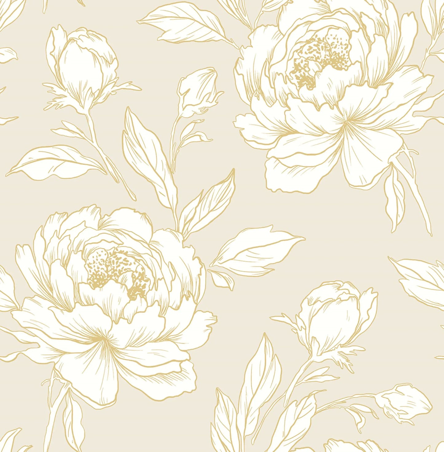 Peony Flower Wallpaper