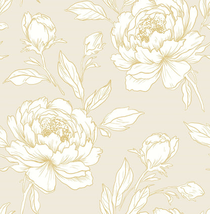 Peony Flower Wallpaper
