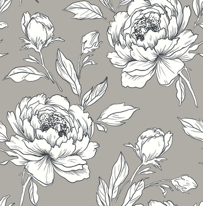 Peony Flower Wallpaper